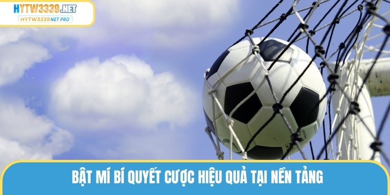 Bật mí bí quyết cược hiệu quả tại nền tảng