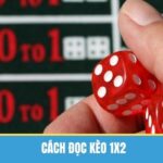 Cách Đọc Kèo 1×2 Đơn Giản, Cá Cược Vào Tiền Dễ Dàng