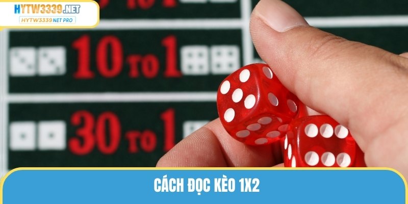 Cách Đọc Kèo 1×2 Đơn Giản, Cá Cược Vào Tiền Dễ Dàng