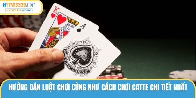 Hướng dẫn luật chơi cũng như cách chơi catte chi tiết nhất