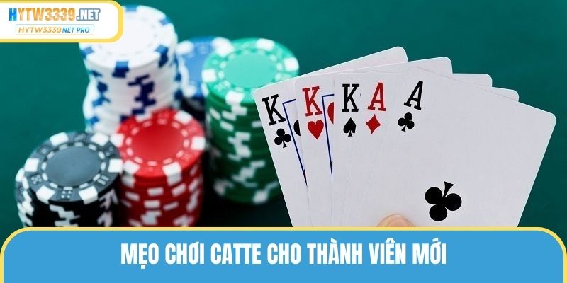 Mẹo chơi catte cho thành viên mới