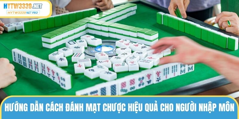Hướng Dẫn Cách Đánh Mạt Chược Hiệu Quả Cho Newbie