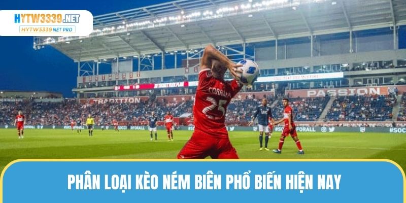 Các phân loại phổ biến thành viên có thể lựa chọn
