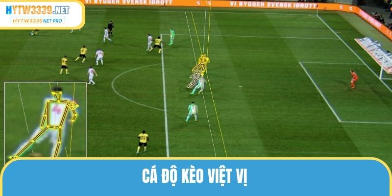 Kèo Việt Vị Là Gì? Mẹo Chơi Hiệu Quả Cho Tân Thủ