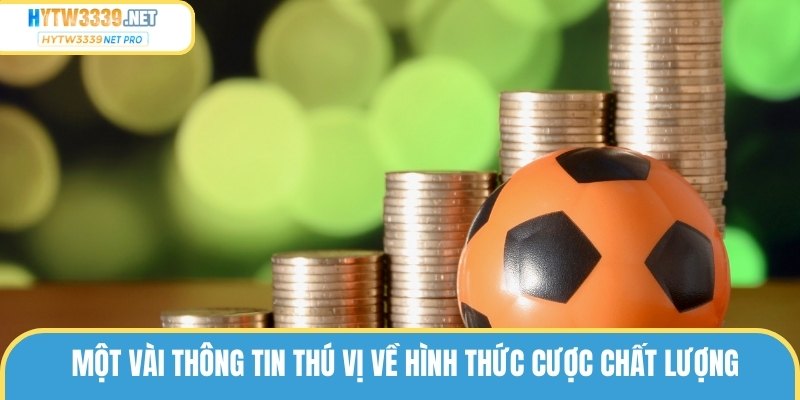Một vài thông tin thú vị về hình thức cược chất lượng