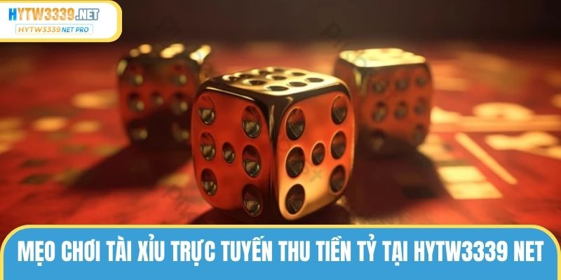 Mẹo chơi tài xỉu trực tuyến thu tiền tỷ tại hytw3339 net